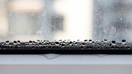 ​Postaw miseczkę z tą przyprawą wieczorem na parapecie. Rano zapomnisz o wilgotnych oknach