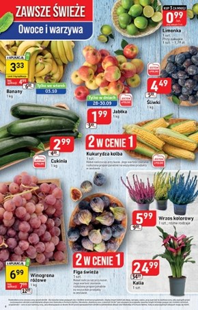 Stokrotka Optima - oferta od czwartku