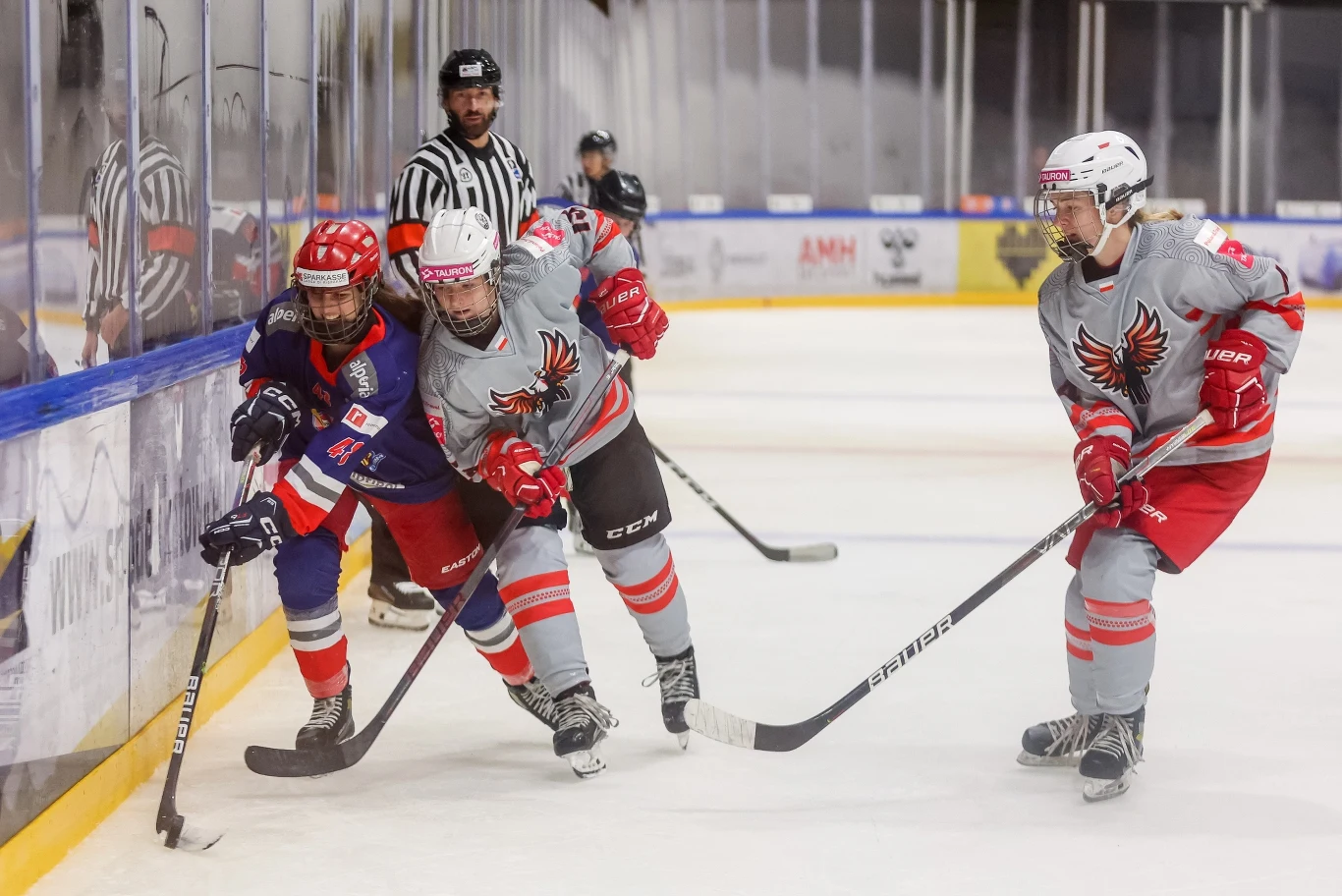 Kadr z meczu Tauron Metropolia Silesia - EVB Eagles South Tyrol