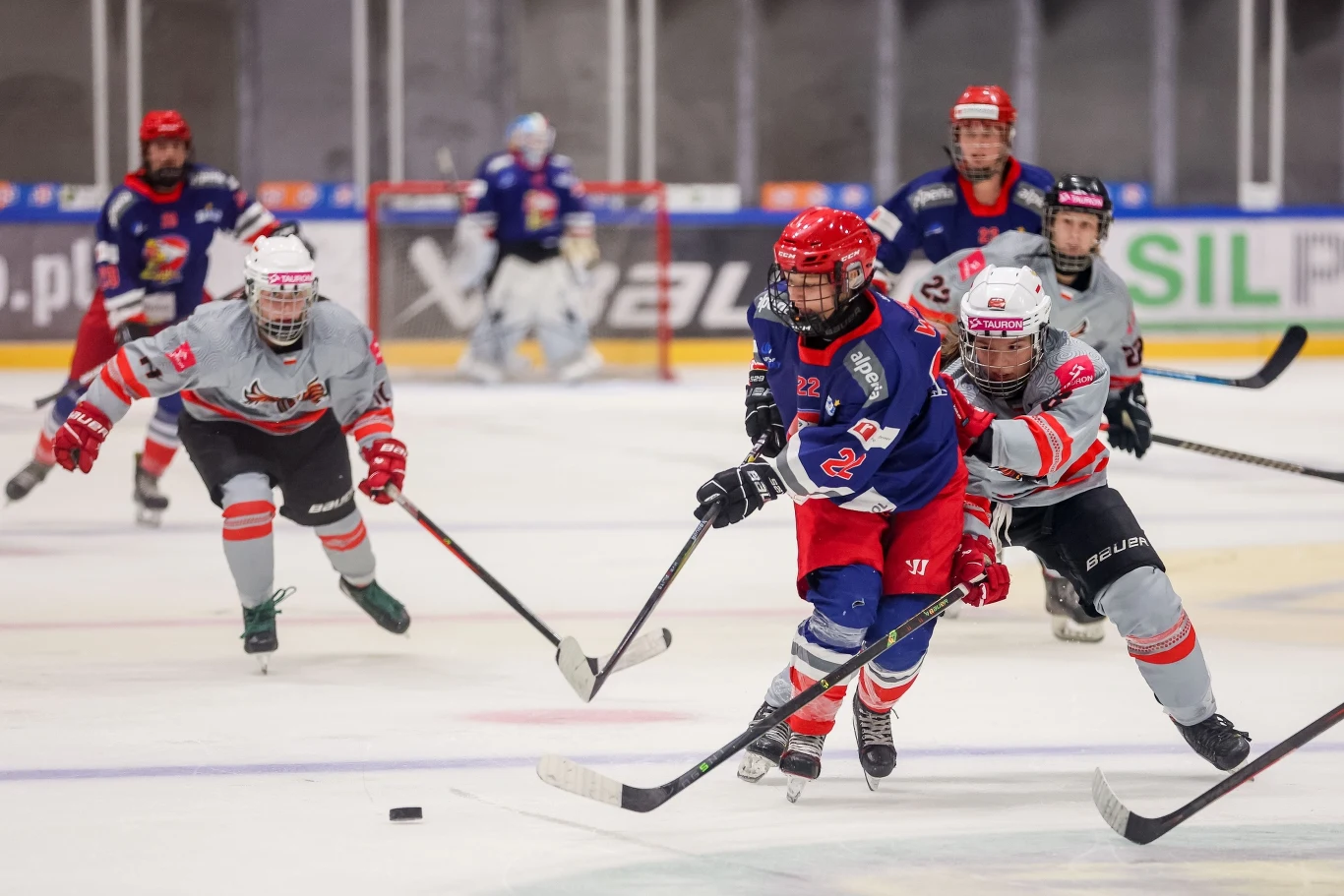 Kadr z meczu Tauron Metropolia Silesia - EVB Eagles South Tyrol