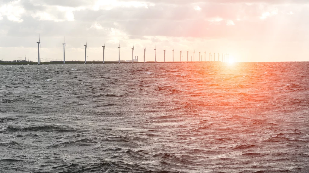 Morskie turbiny wiatrowe produkują wielkie ilości energii, ale mogą zakłócać nawzajem swoją pracę