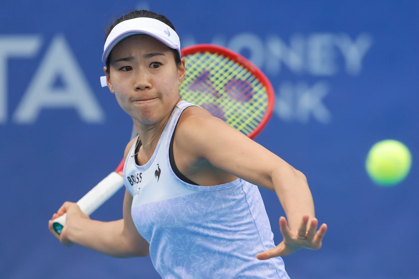 Nao Hibino