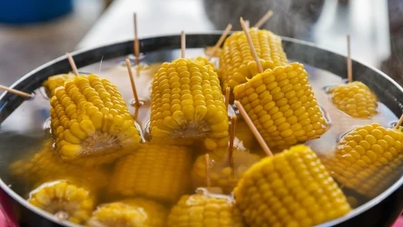 Gotowana kukurydza to rarytas, ale można z łatwością zrobić ją w domu