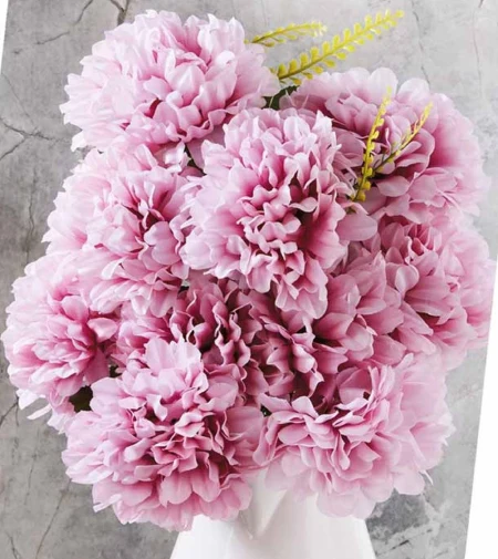 Хризантема