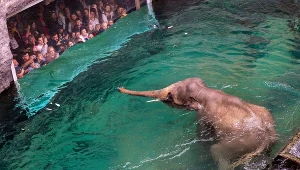 ​To najnowocześniejsze zoo w Europie znajduje się w Polsce. Warto odwiedzić je jesienią
