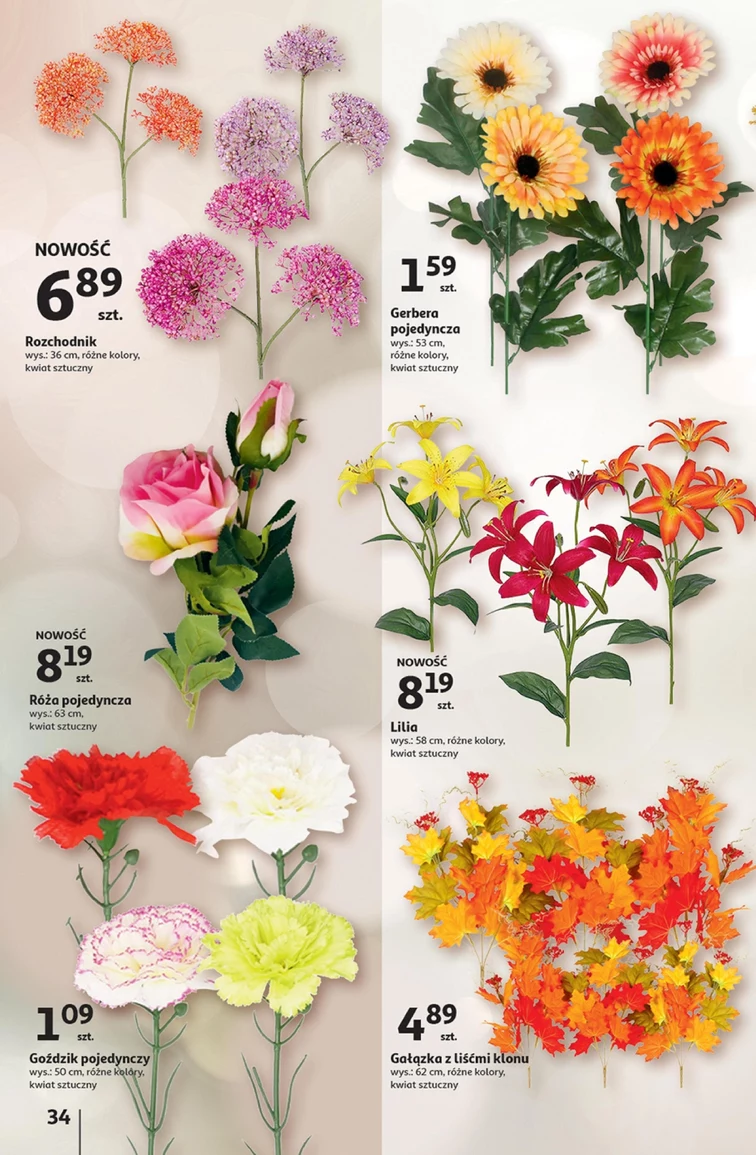 leaflet page preview image
