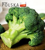 Brokuł