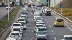 Za tę naklejkę konfiskują samochody bez litości. Mocne słowa policji