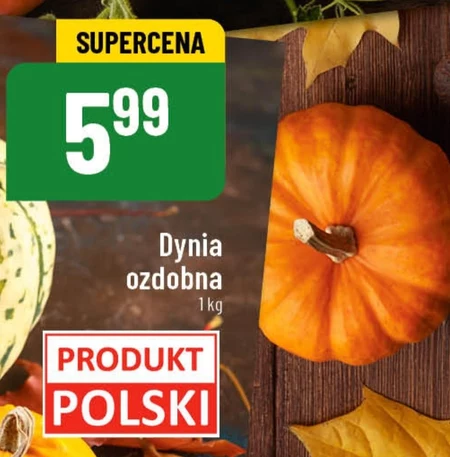 Dynia