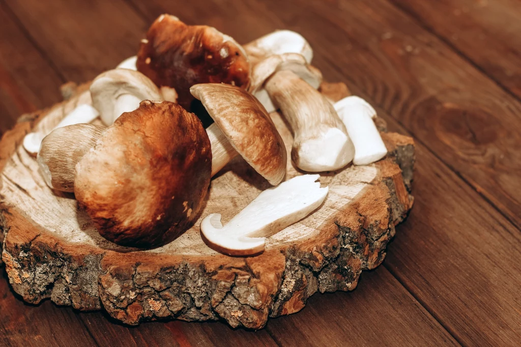 Na surowo można jadać tylko kilka gatunków grzybów rosnących w Polsce