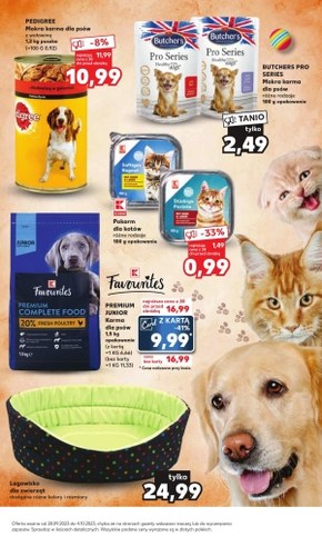 Kaufland - gdzie Dzień Zwierząt mam?