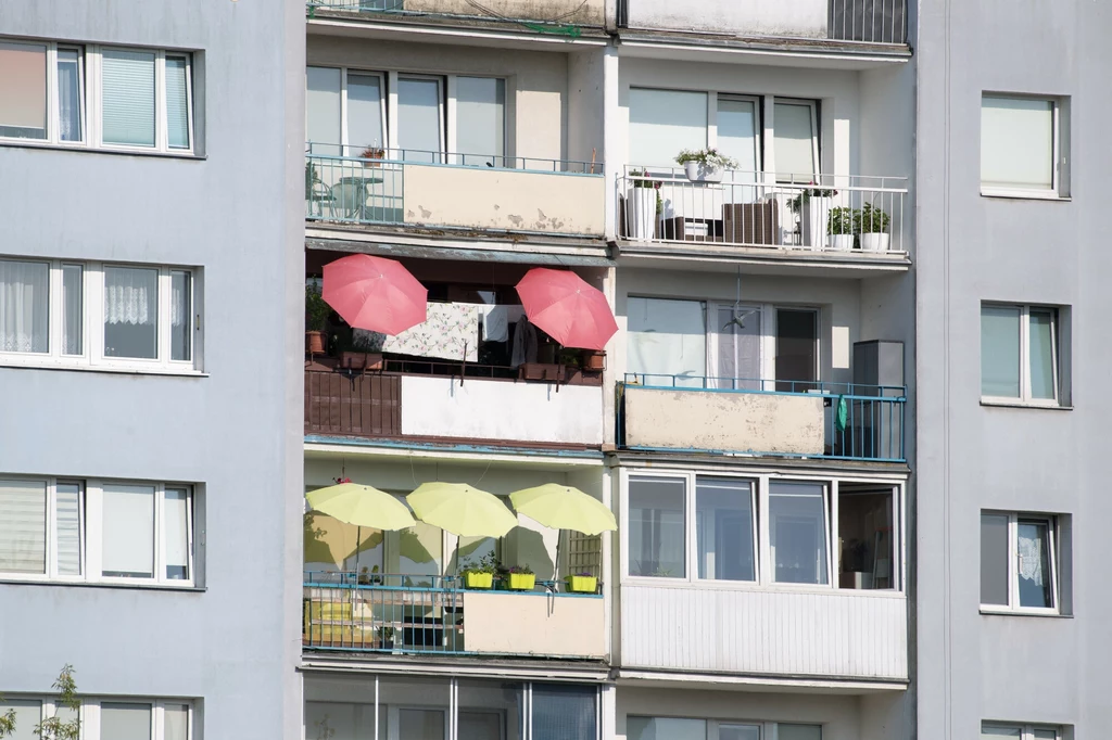 Prognoza pogody na najbliższe dni