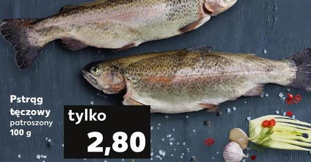 Pstrąg tęczowy