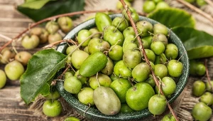 Ten mało popularny owoc ma niezwykłą moc. Chroni przed nowotworem