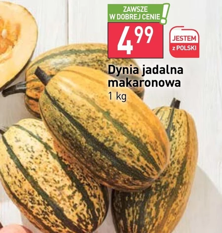 Dynia