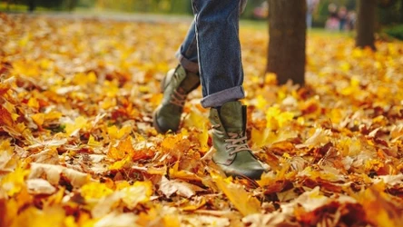 Przygotowanie się do jesiennej pogody - Porady i strategie