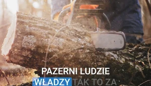 Nowy spot Koalicji Obywatelskiej traktuje o ochronie lasów