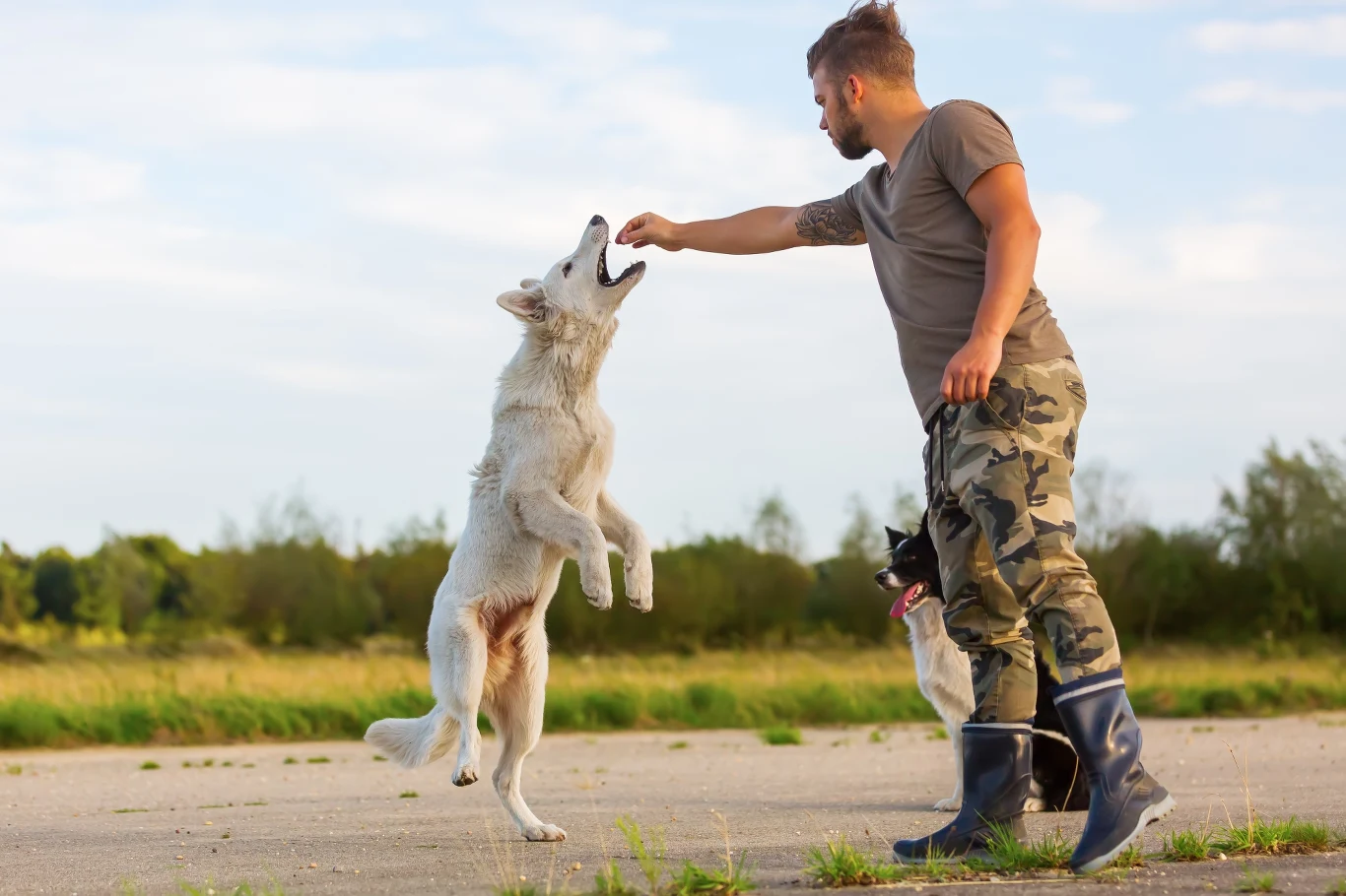 Każdy powinien znać awersyjne metody trenowania psa i zdecydowanie ich unikać