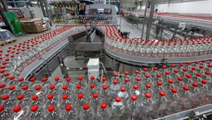 Milionerka z Ukrainy chce przejąć polską firmę. Chodzi o zakłady Plast-Box z Pomorza