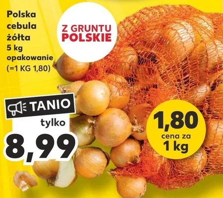 Cebula