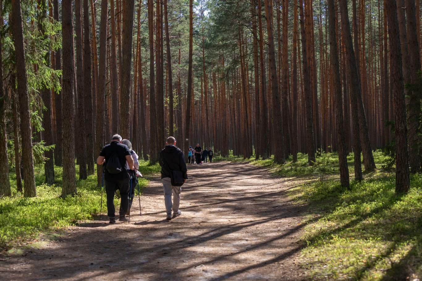 „Manifest leśny” stu osiemdziesięciu organizacji i ruchów: Oddajcie lasy ludziom, przyrodzie i klimatowi! „Manifest leśny” stu osiemdziesięciu organizacji i ruchów: Oddajcie lasy ludziom, przyrodzie i klimatowi!