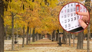 Długi weekend w październiku. Wystarcżą dwa dni wolne przed 1 listopada