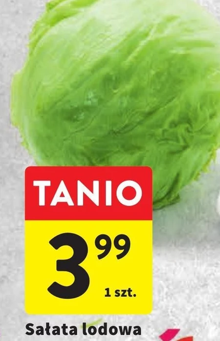 Sałata
