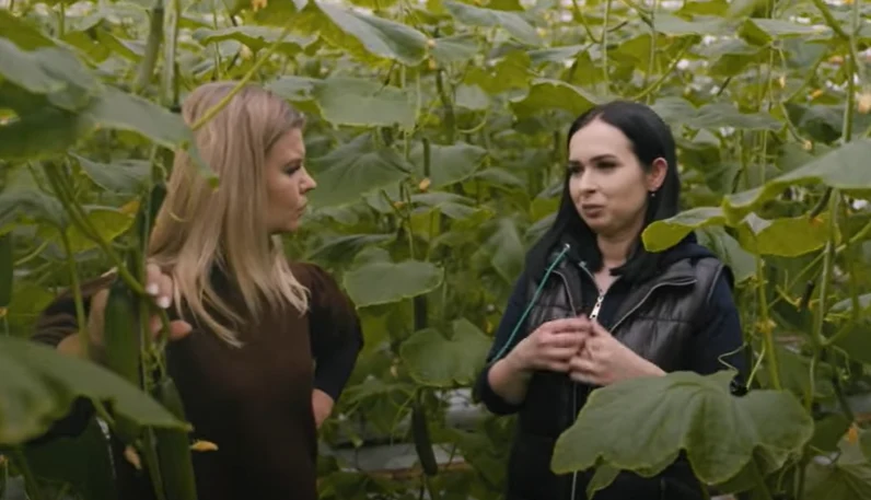 "Rolnik szuka żony" Anna mieszka w pałacu "Rolnik szuka żony" Anna mieszka w pałacu