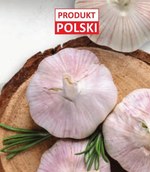 Czosnek
