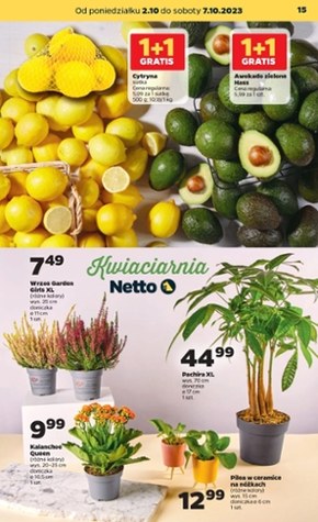 Urodziny w Netto! 