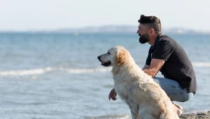 Właściciele psów płacą kary. Kontrole odwiedzają ich w domach