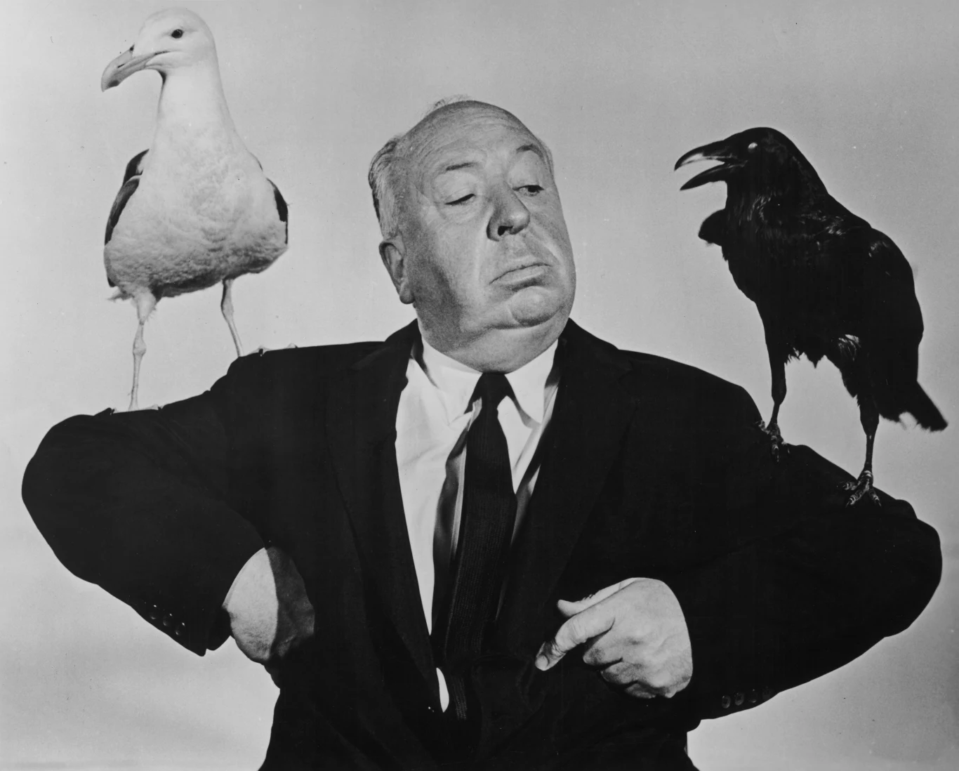 Alfred Hitchcock na grafice promującej film "Ptaki"