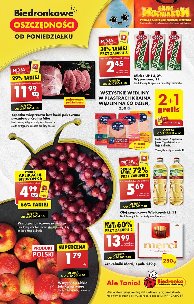 leaflet page preview image