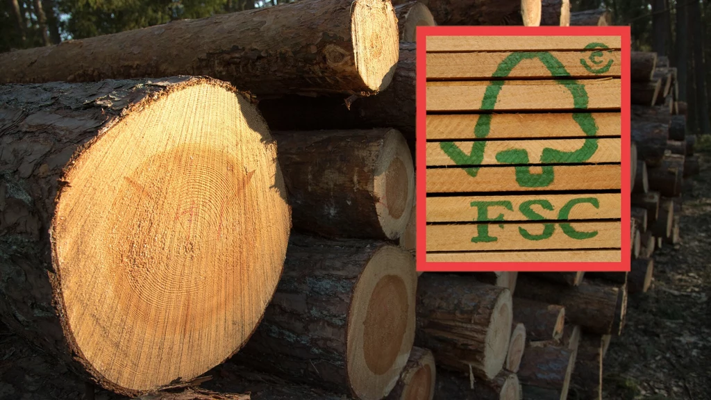 Lasy Państwowe poinformowały o całkowitej rezygnacji z certyfikatu FSC. Drewno z tym znakiem służy do produkcji m.in. papieru toaletowego, paragonów czy mebli. Eksperci ostrzegają, że decyzja może mieć wiele negatywnych skutków