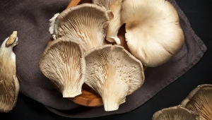 Boczniaki chronią przed cukrzycą, obniżają cholesterol i odmładzają komórki ciała. Jedz zamiast mięsa