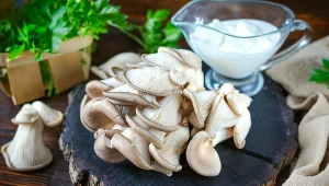 To najzdrowsze grzyby. Dietetycy zalecają jeść regularnie, a mało kto je zbiera