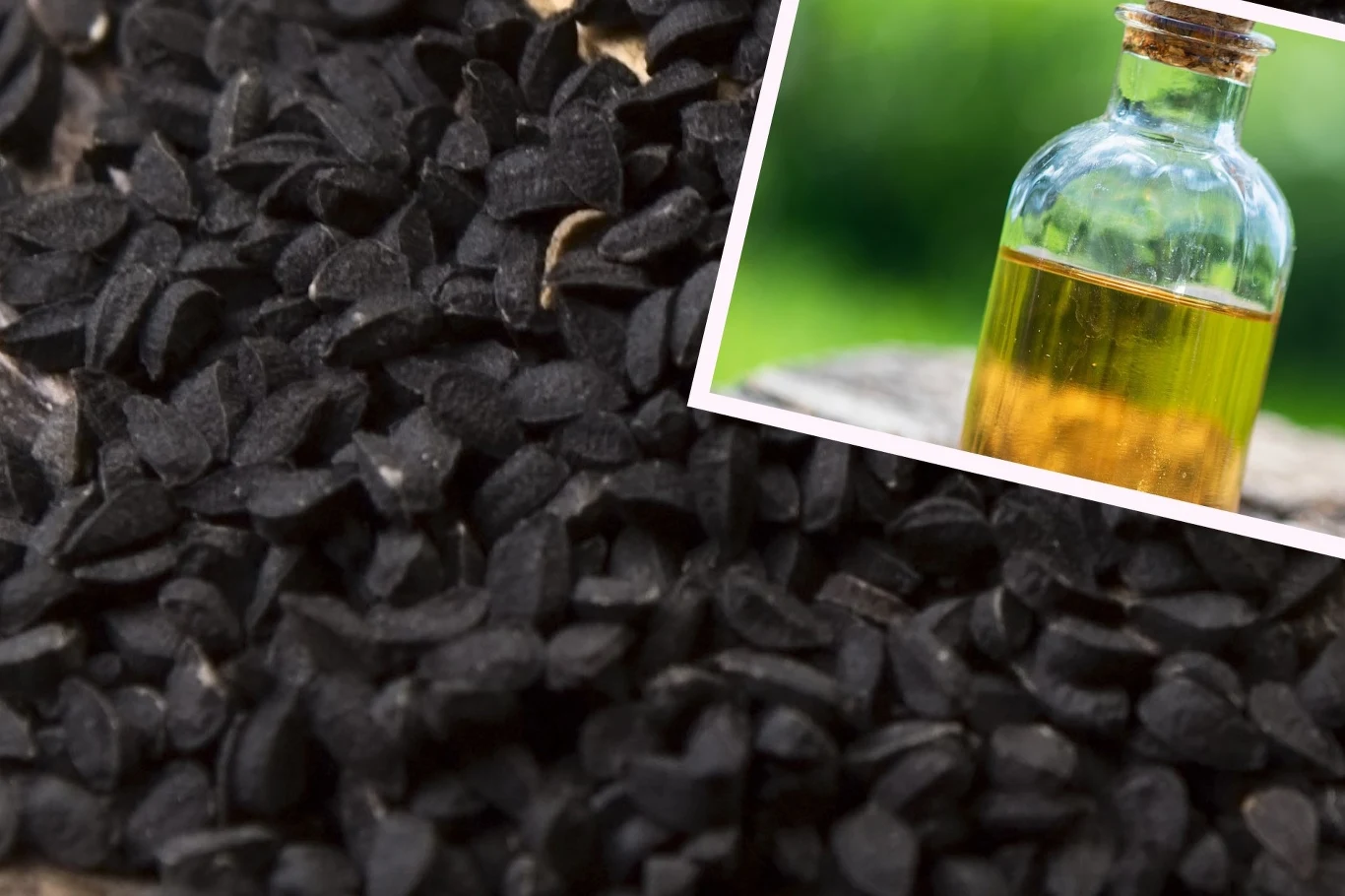 Olej z czarnuszki to źródło wielu cennych składników odżywczych, dlatego żartobliwie określany jest jako "płynne złoto" Olej z czarnuszki to źródło wielu cennych składników odżywczych, dlatego żartobliwie określany jest jako "płynne złoto"