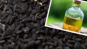 Jest nazywany płynnym złotem. Pij każdego dnia, a zapomnisz o boczkach i wzdęciach