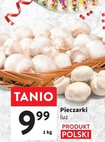 Pieczarki