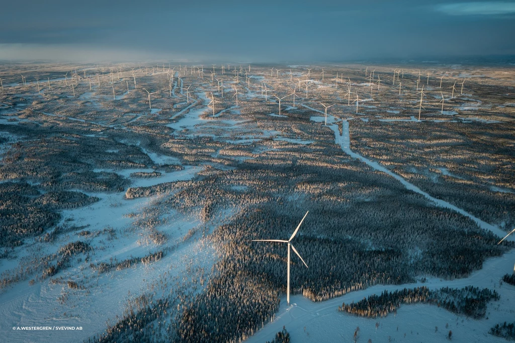 Farma wiatrowa Markbygden w Szwecji to największa tego typu instalacja w Europie i druga najpotężniejsza farma wiatrowa na świecie