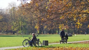 Padł nowy rekord miesięcznej temperatury powietrza. Tak ciepło nie było jeszcze nigdy 