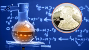 Nagroda Nobla z chemii przyznana. To pionierzy w eksploracji nanoświata