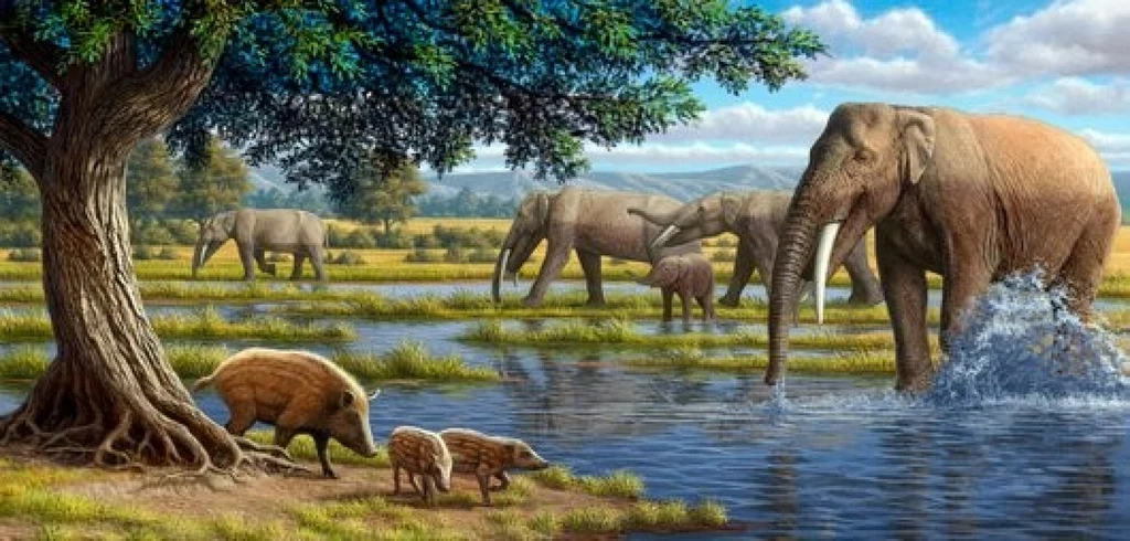 Ssaki z ery miocenu, zdj. ilustracyjne