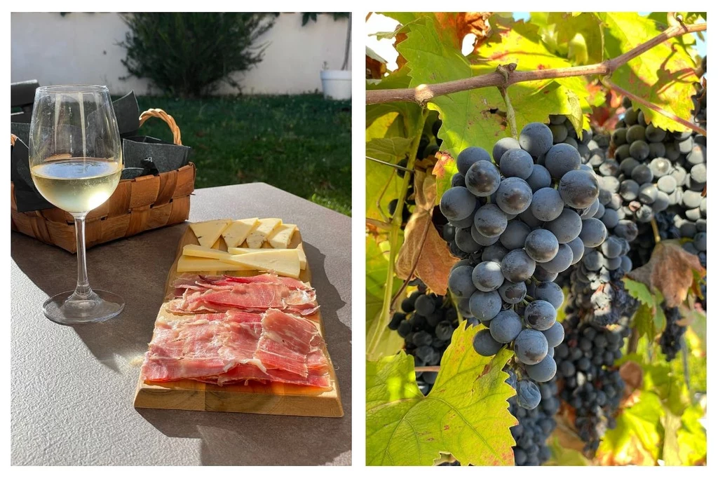 Istryjskie wina, a także lokalny prsut, stanowią symbol regionu
