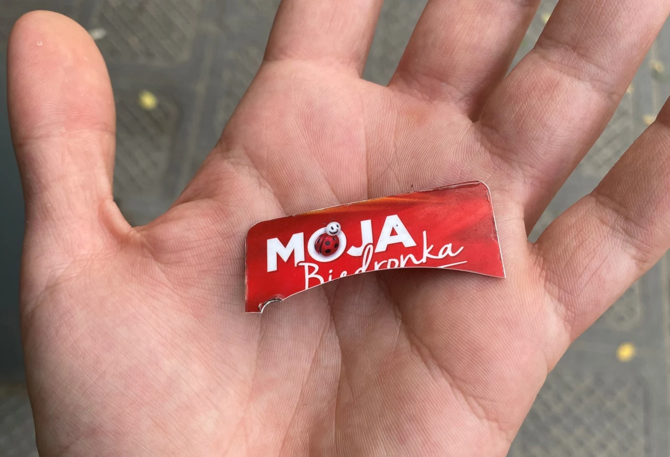 Zniszczona karta Moja Biedronka na dłoni.