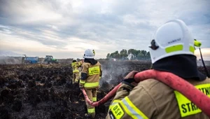 Kolejny pożar w największym polskim parku narodowym. "To był fatalny rok"