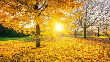 W 2023 roku odnotowano już trzy rekordy ciepła - informuje IMGW. Pierwszy z nich padł po kilku godzinach