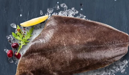 Halibut