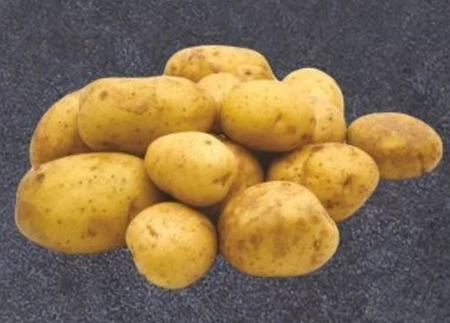Ziemniaki