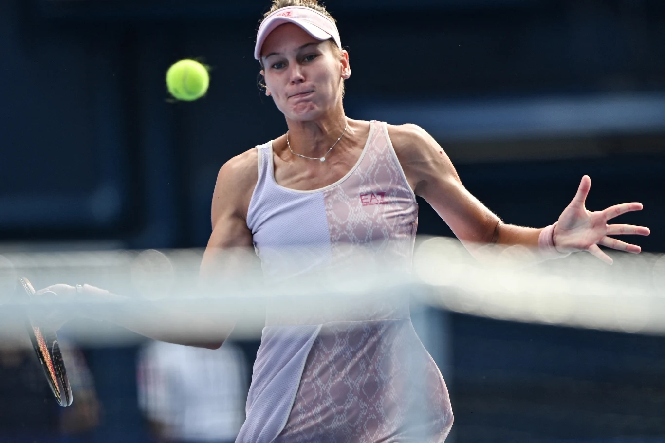 Weronika Kudiermietowa